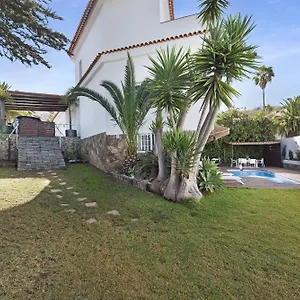 https://loft-la-matanza.in-canary-islands.com
